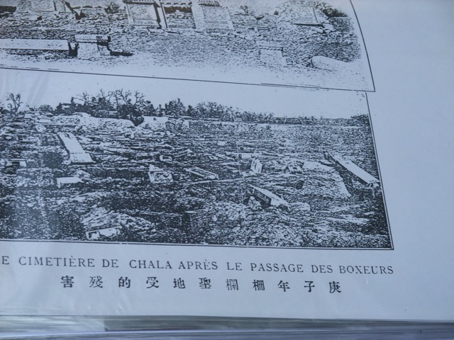 Loading Image