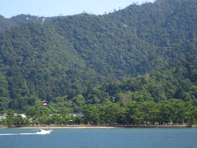 Loading Image
